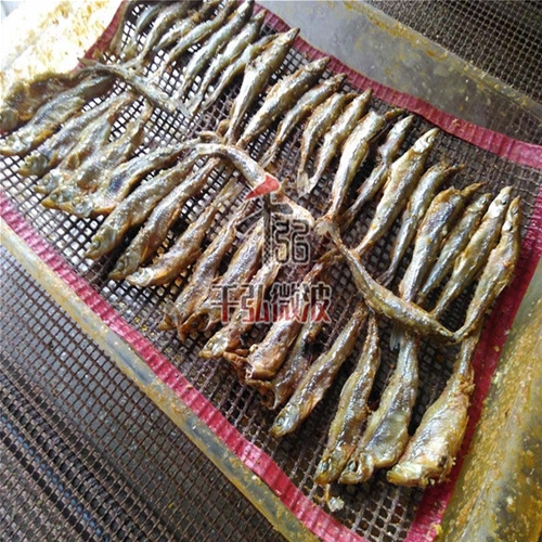 小魚(yú)微波烘干熟化設(shè)備